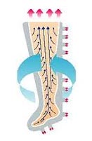 pressoterapia